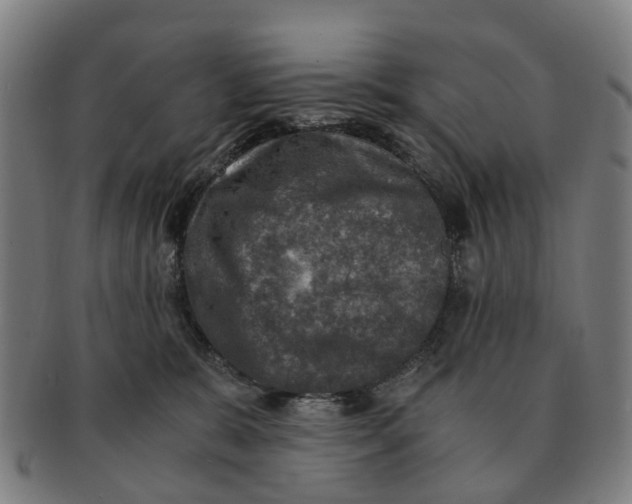 X0000091010327200708301404