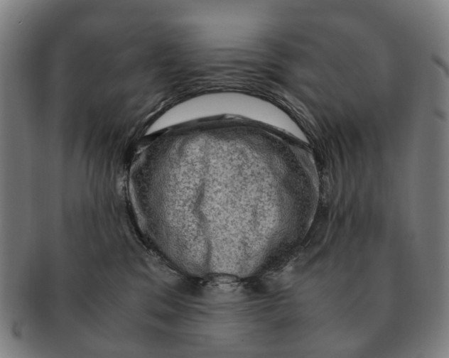 X0000091010329200708301404