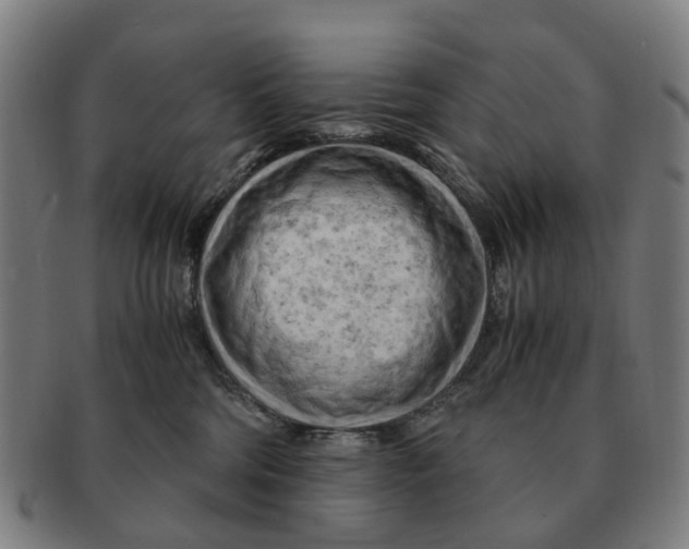 X0000091010330200708301404