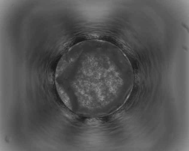 X0000091010331200708301404