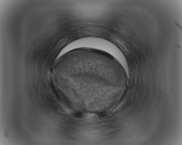X0000091010333200708301404