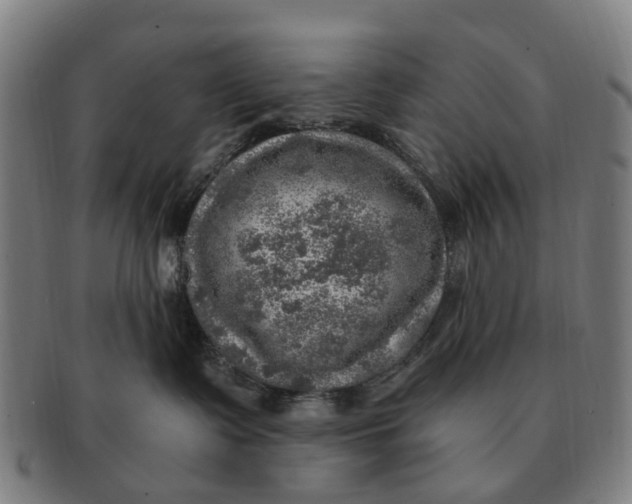 X0000091010335200708301404