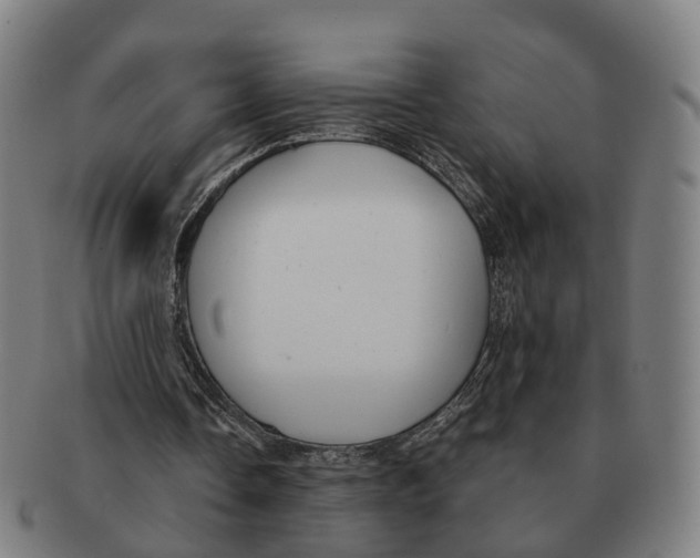 X0000091010338200708301403