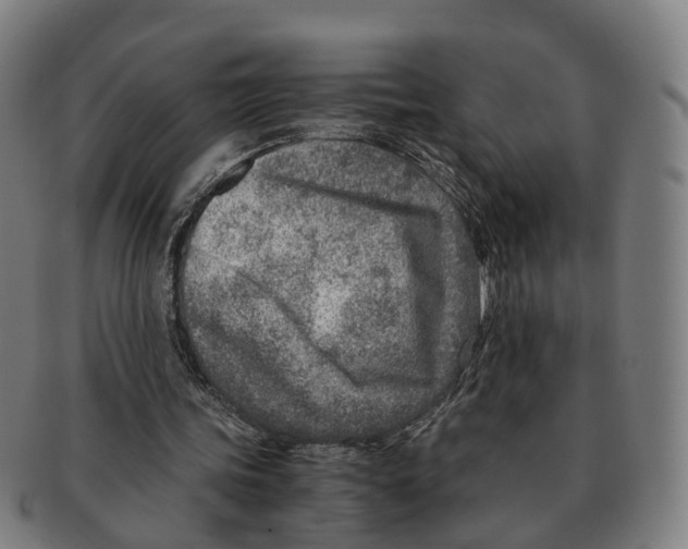 X0000091010339200708301403