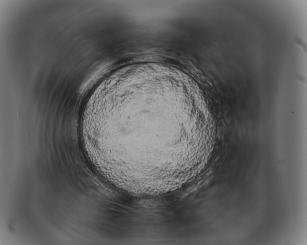 X0000091010341200708301403