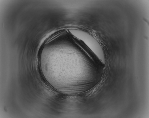 X0000091010342200708301403