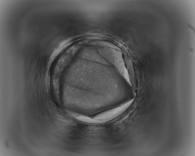 X0000091010343200708301403