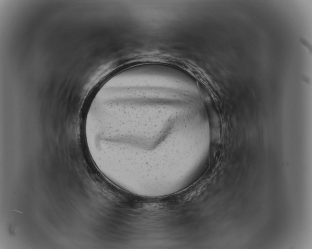 X0000091010344200708301403