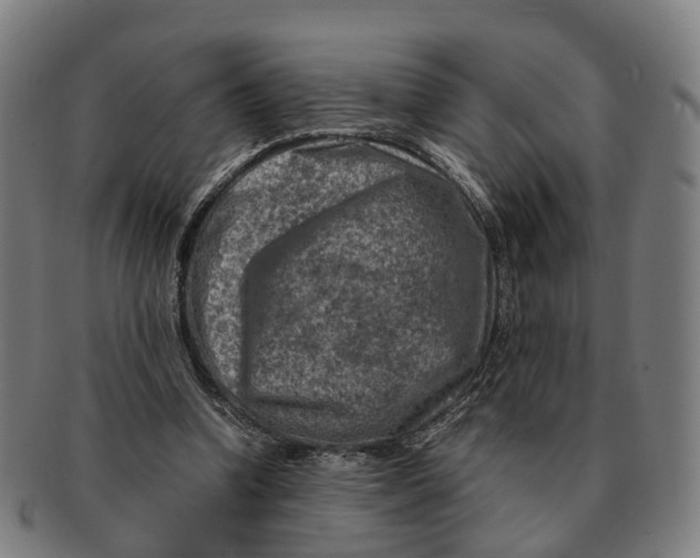 X0000091010346200708301403