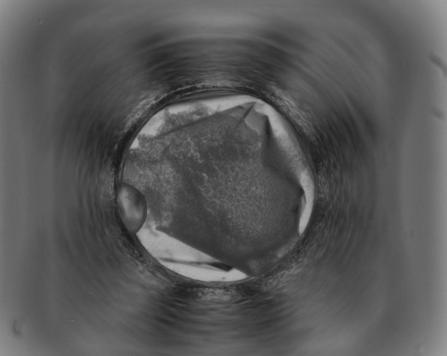 X0000091010347200708301403