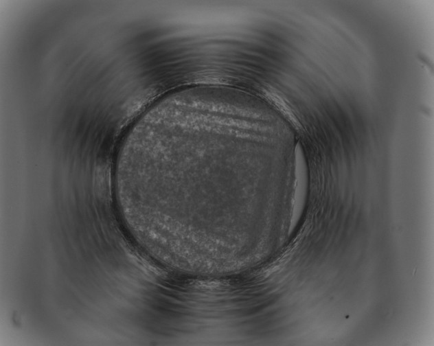 X0000091010349200708301403