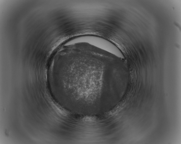 X0000091010350200708301403