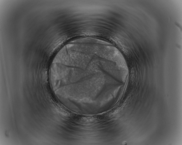 X0000091010351200708301403