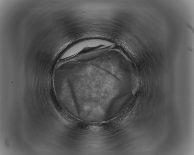 X0000091010352200708301403