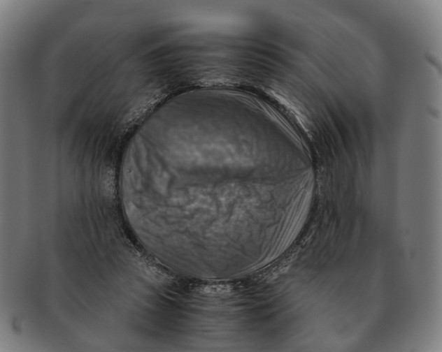 X0000091010353200708301403