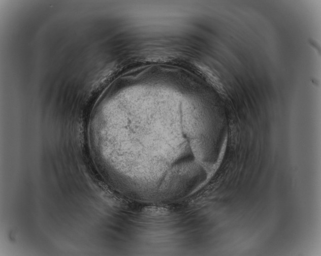 X0000091010354200708301403