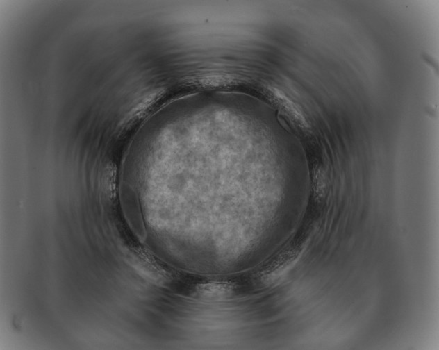 X0000091010356200708301403