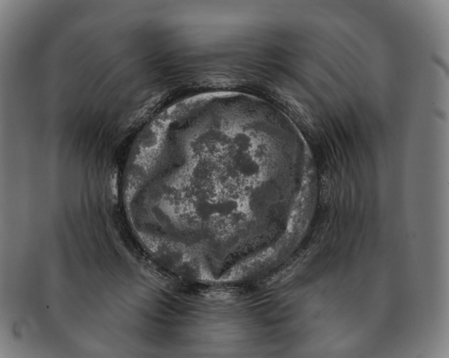 X0000091010358200708301403