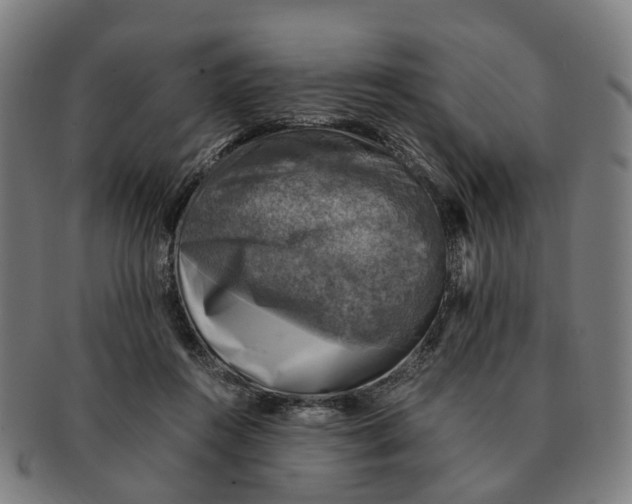 X0000091010360200708301403