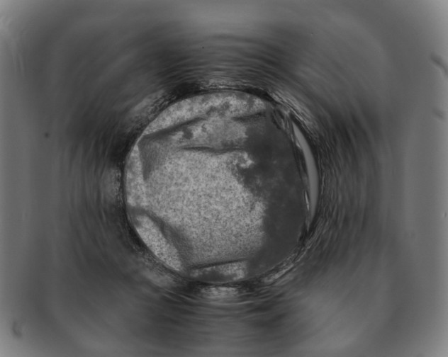 X0000091010361200708301403