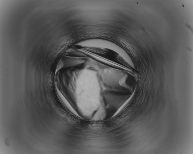 X0000091010362200708301403