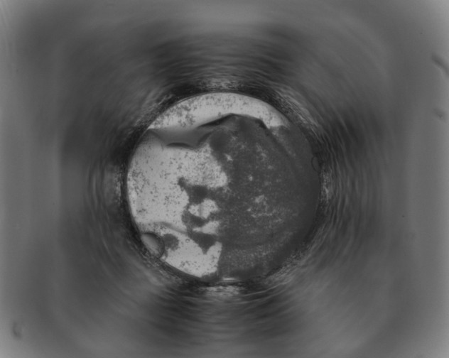 X0000091010363200708301403