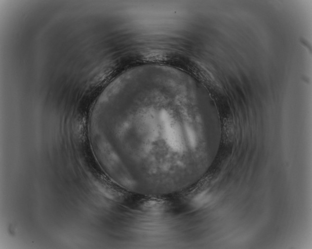 X0000091010364200708301403