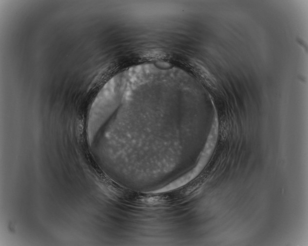 X0000091010365200708301403