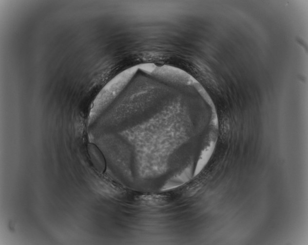 X0000091010367200708301403