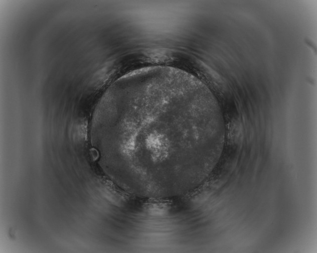X0000091010368200708301403