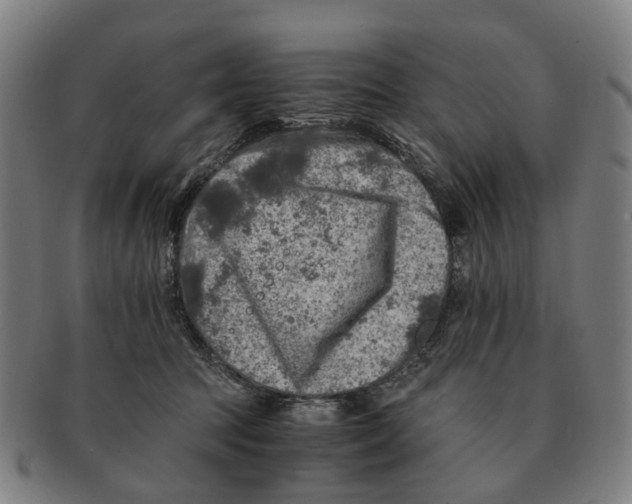 X0000091010369200708301403