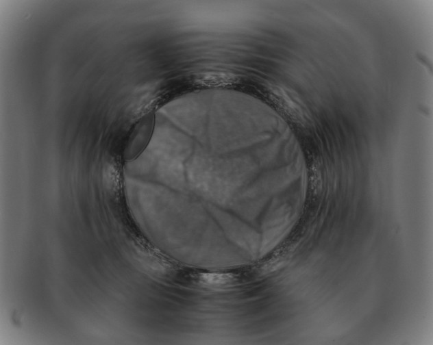 X0000091010371200708301403