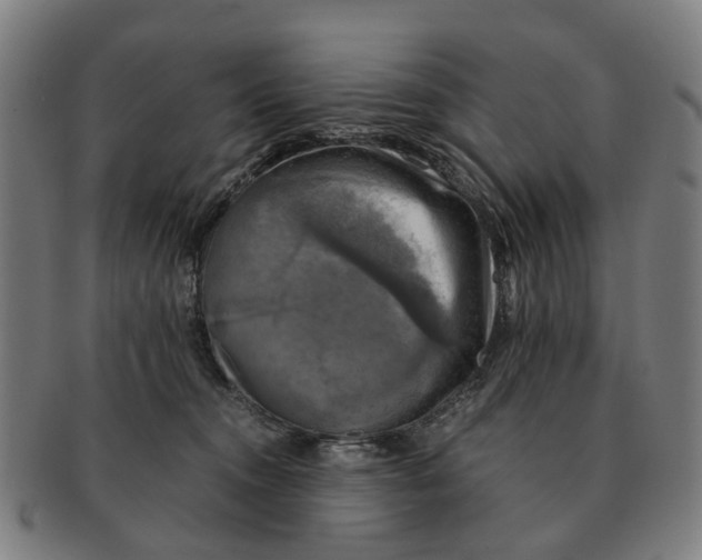 X0000091010372200708301403