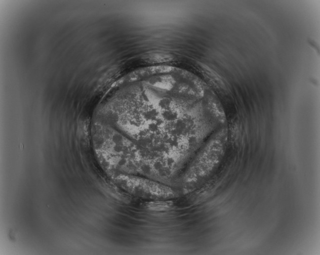 X0000091010373200708301403