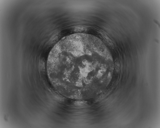 X0000091010375200708301403