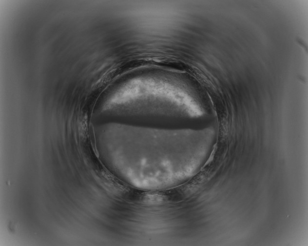 X0000091010376200708301403
