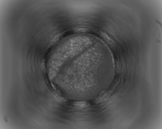 X0000091010377200708301403