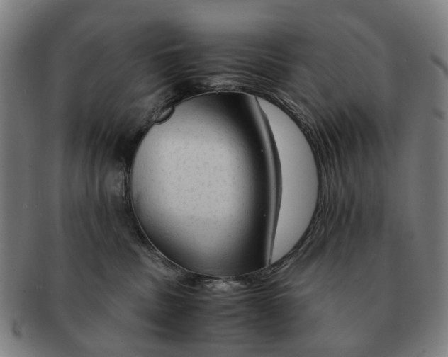 X0000091010379200708301404