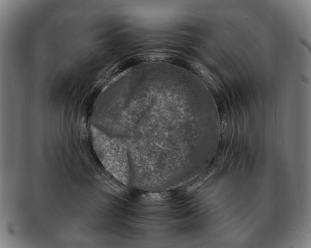 X0000091010381200708301404