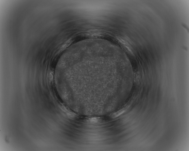 X0000091010382200708301404