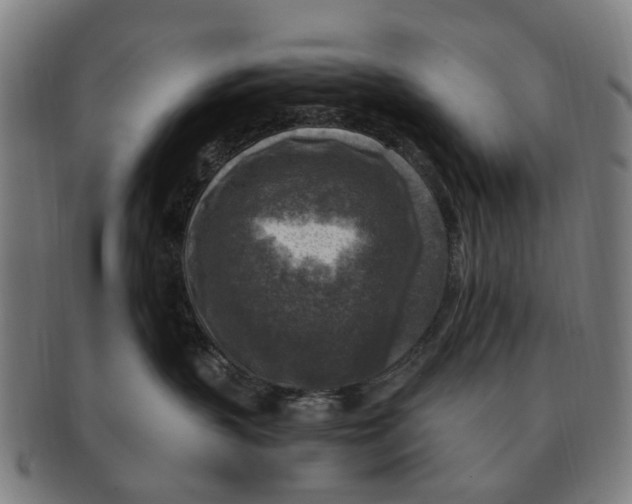 X0000091010383200708301404