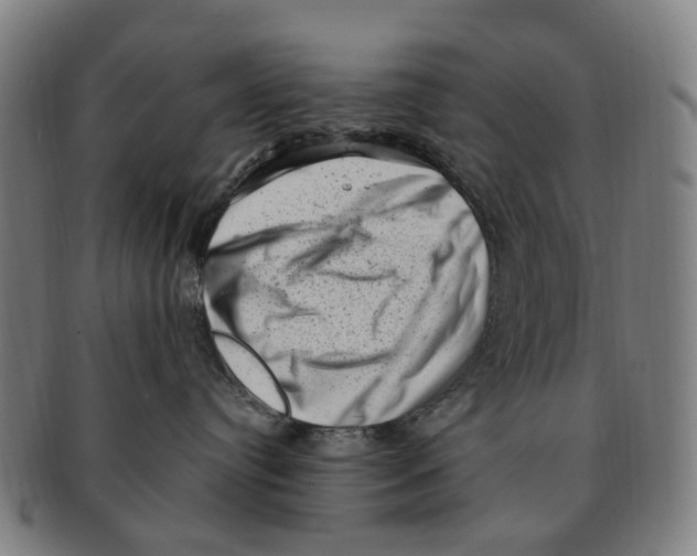 X0000091010384200708301404