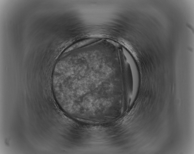 X0000091010385200708301403
