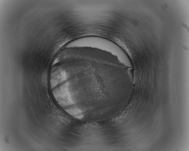 X0000091010386200708301403