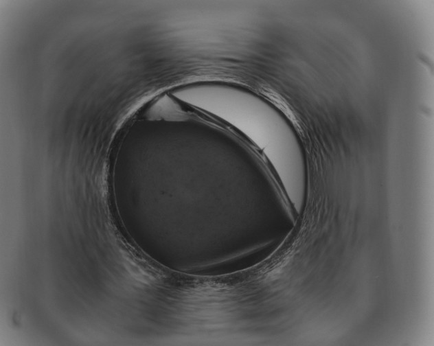 X0000091010387200708301403