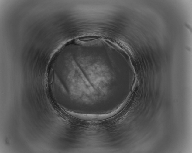 X0000091010388200708301403