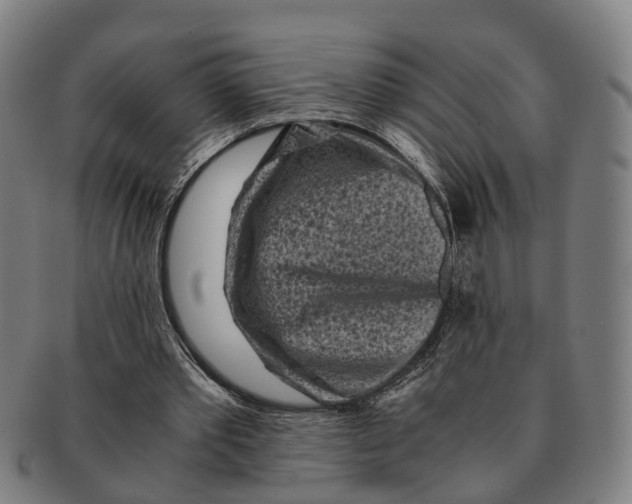 X0000091010389200708301403