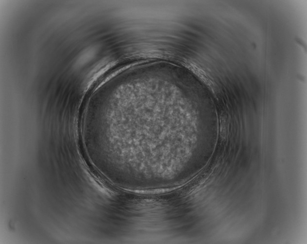 X0000091010390200708301403