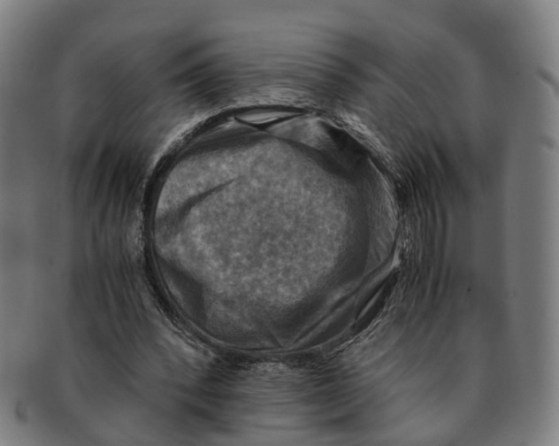 X0000091010392200708301403