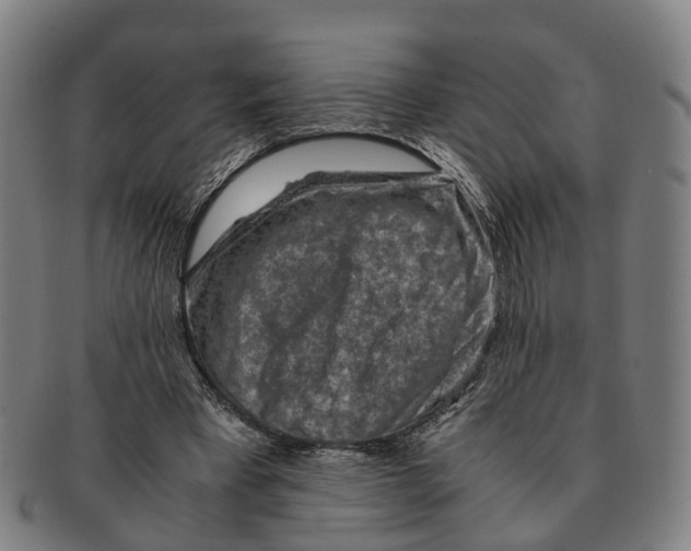X0000091010393200708301403